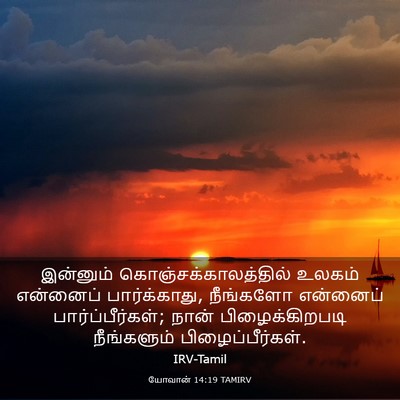 Picture 03 - யோவான் 14:19 TAMIRV - இன்னும் - Bible Verse Picture