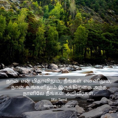 Picture 03 - யோவான் 14:20 TAMIRV - நான் என் - Bible Verse Picture