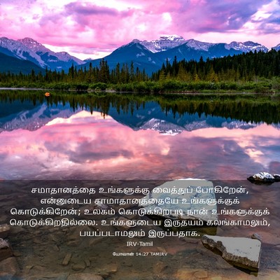 Picture 03 - யோவான் 14:27 TAMIRV - சமாதானத்தை - Bible Verse Picture