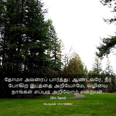 Picture 03 - யோவான் 14:5 TAMIRV - தோமா அவரைப் - Bible Verse Picture
