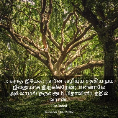 Picture 03 - யோவான் 14:6 TAMIRV - அதற்கு இயேசு: நானே - Bible Verse Picture