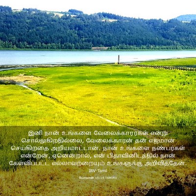 Picture 03 - யோவான் 15:15 TAMIRV - இனி நான் உங்களை - Bible Verse Picture