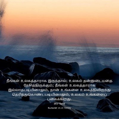 Picture 03 - யோவான் 15:19 TAMIRV - நீங்கள் - Bible Verse Picture