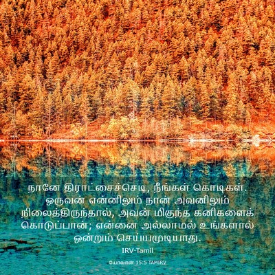 Picture 03 - யோவான் 15:5 TAMIRV - நானே - Bible Verse Picture