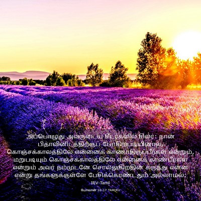 Picture 03 - யோவான் 16:17 TAMIRV - அப்பொழுது அவருடைய - Bible Verse Picture