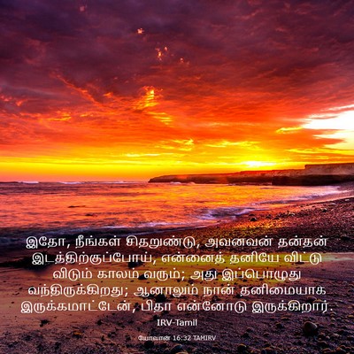 Picture 03 - யோவான் 16:32 TAMIRV - இதோ, நீங்கள் - Bible Verse Picture