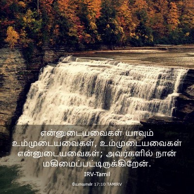 Picture 03 - யோவான் 17:10 TAMIRV - என்னுடையவைகள் - Bible Verse Picture