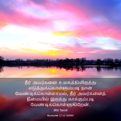 Picture 03 - யோவான் 17:15 TAMIRV - நீர் அவர்களை - Bible Verse Picture