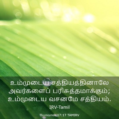 Picture 03 - யோவான் 17:17 TAMIRV - உம்முடைய - Bible Verse Picture