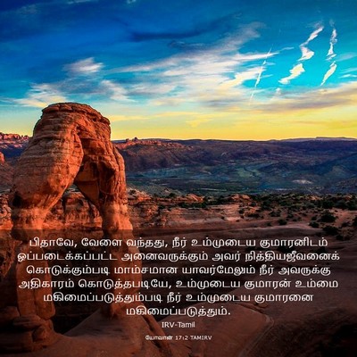 Picture 03 - யோவான் 17:2 TAMIRV - பிதாவே, வேளை - Bible Verse Picture