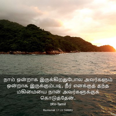 Picture 03 - யோவான் 17:22 TAMIRV - நாம் ஒன்றாக - Bible Verse Picture