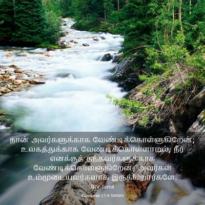 Picture 03 - யோவான் 17:9 TAMIRV - நான் அவர்களுக்காக - Bible Verse Picture