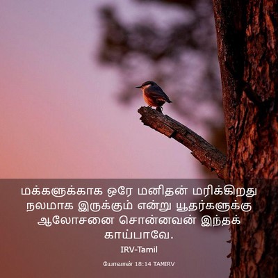 Picture 03 - யோவான் 18:14 TAMIRV - மக்களுக்காக ஒரே - Bible Verse Picture