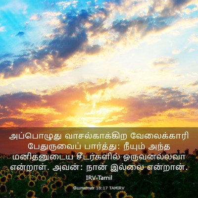 Picture 03 - யோவான் 18:17 TAMIRV - அப்பொழுது - Bible Verse Picture