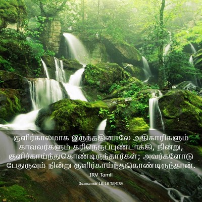 Picture 03 - யோவான் 18:18 TAMIRV - குளிர்காலமாக - Bible Verse Picture