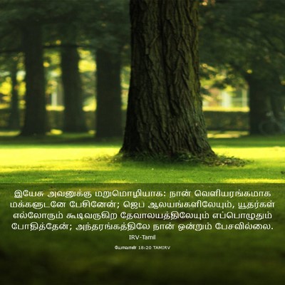 Picture 03 - யோவான் 18:20 TAMIRV - இயேசு அவனுக்கு - Bible Verse Picture