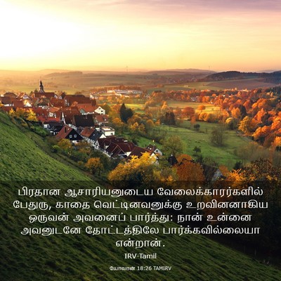 Picture 03 - யோவான் 18:26 TAMIRV - பிரதான - Bible Verse Picture
