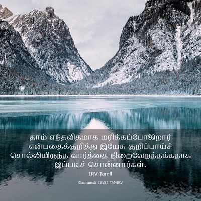 Picture 03 - யோவான் 18:32 TAMIRV - தாம் எந்தவிதமாக - Bible Verse Picture