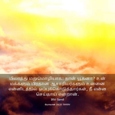 Picture 03 - யோவான் 18:35 TAMIRV - பிலாத்து - Bible Verse Picture