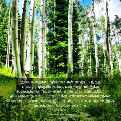 Picture 03 - யோவான் 18:36 TAMIRV - இயேசு மறுமொழியாக: - Bible Verse Picture