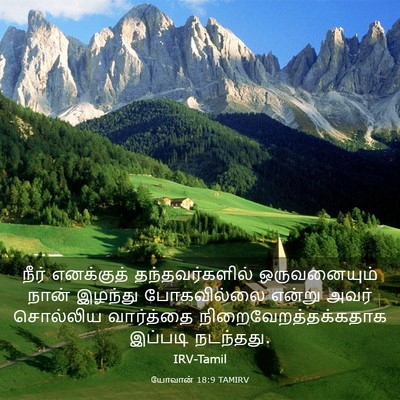 Picture 03 - யோவான் 18:9 TAMIRV - நீர் எனக்குத் - Bible Verse Picture