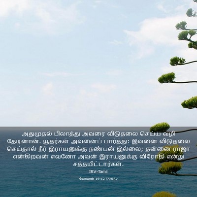 Picture 03 - யோவான் 19:12 TAMIRV - அதுமுதல் பிலாத்து - Bible Verse Picture