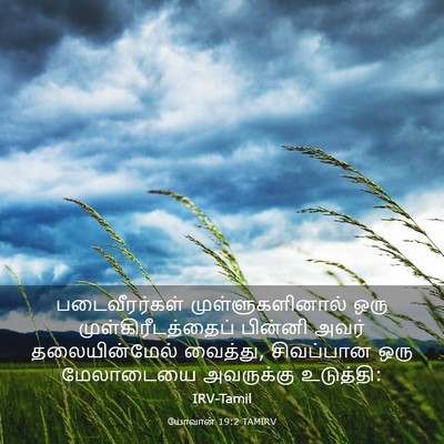 Picture 03 - யோவான் 19:2 TAMIRV - படைவீரர்கள் - Bible Verse Picture