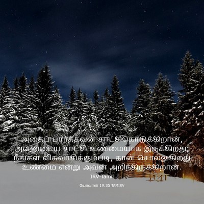 Picture 03 - யோவான் 19:35 TAMIRV - அதைப் பார்த்தவன் - Bible Verse Picture