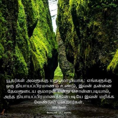 Picture 03 - யோவான் 19:7 TAMIRV - யூதர்கள் அவனுக்கு - Bible Verse Picture