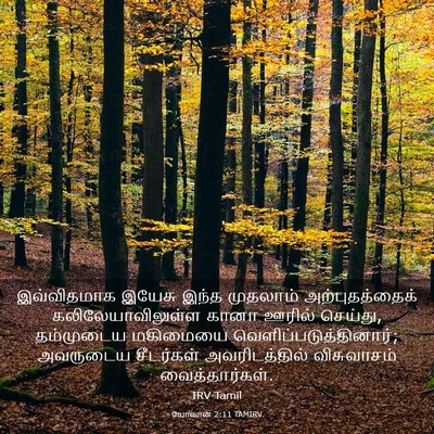 Picture 03 - யோவான் 2:11 TAMIRV - இவ்விதமாக இயேசு - Bible Verse Picture