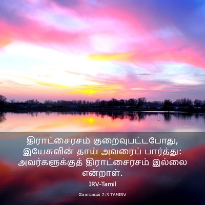 Picture 03 - யோவான் 2:3 TAMIRV - திராட்சைரசம் - Bible Verse Picture