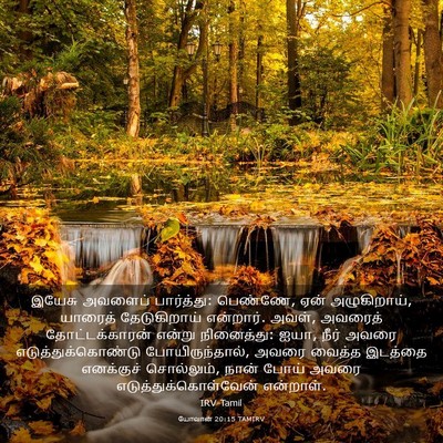 Picture 03 - யோவான் 20:15 TAMIRV - இயேசு அவளைப் - Bible Verse Picture
