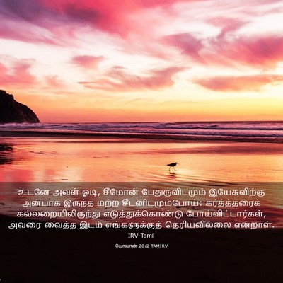Picture 03 - யோவான் 20:2 TAMIRV - உடனே அவள் ஓடி, - Bible Verse Picture