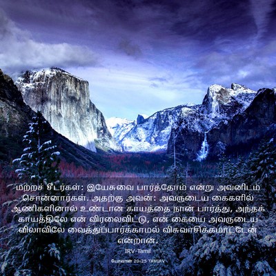Picture 03 - யோவான் 20:25 TAMIRV - மற்றச் சீடர்கள்: - Bible Verse Picture