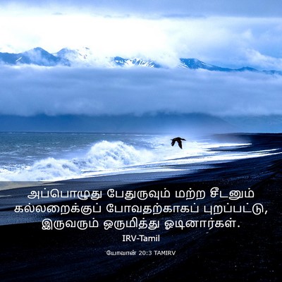 Picture 03 - யோவான் 20:3 TAMIRV - அப்பொழுது - Bible Verse Picture