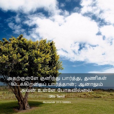 Picture 03 - யோவான் 20:5 TAMIRV - அதற்குள்ளே - Bible Verse Picture