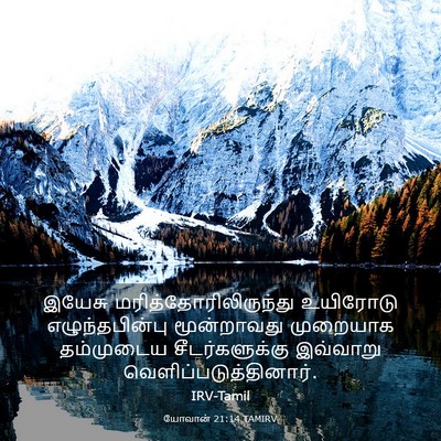 Picture 03 - யோவான் 21:14 TAMIRV - இயேசு - Bible Verse Picture