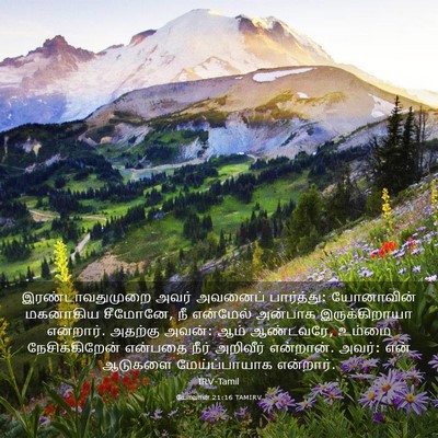 Picture 03 - யோவான் 21:16 TAMIRV - இரண்டாவதுமுறை - Bible Verse Picture