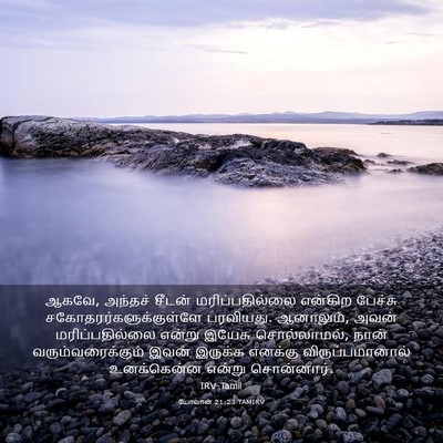 Picture 03 - யோவான் 21:23 TAMIRV - ஆகவே, அந்தச் சீடன் - Bible Verse Picture