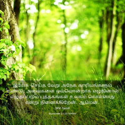 Picture 03 - யோவான் 21:25 TAMIRV - இயேசு செய்த வேறு - Bible Verse Picture
