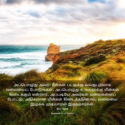 Picture 03 - யோவான் 21:6 TAMIRV - அப்பொழுது அவர்: - Bible Verse Picture