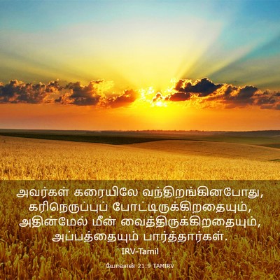 Picture 03 - யோவான் 21:9 TAMIRV - அவர்கள் கரையிலே - Bible Verse Picture