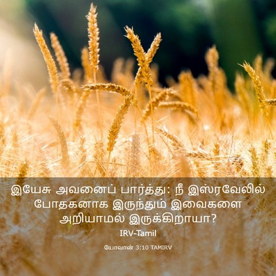 Picture 03 - யோவான் 3:10 TAMIRV - இயேசு அவனைப் - Bible Verse Picture