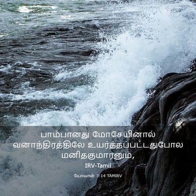 Picture 03 - யோவான் 3:14 TAMIRV - பாம்பானது - Bible Verse Picture