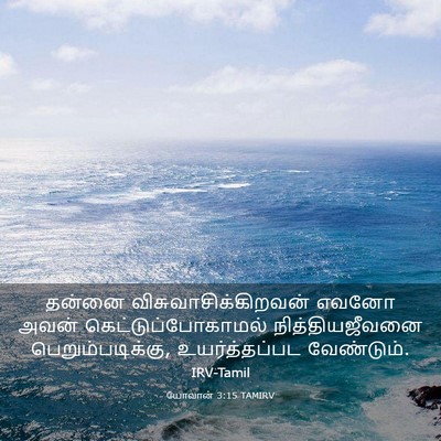 Picture 03 - யோவான் 3:15 TAMIRV - தன்னை - Bible Verse Picture