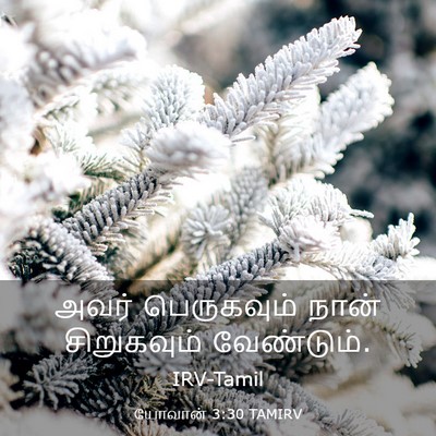 Picture 03 - யோவான் 3:30 TAMIRV - அவர் பெருகவும் - Bible Verse Picture