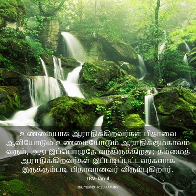 Picture 03 - யோவான் 4:23 TAMIRV - உண்மையாக - Bible Verse Picture