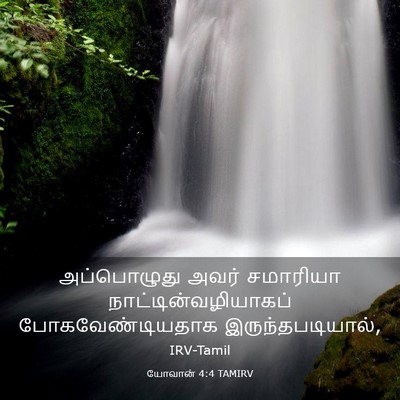 Picture 03 - யோவான் 4:4 TAMIRV - அப்பொழுது அவர் - Bible Verse Picture