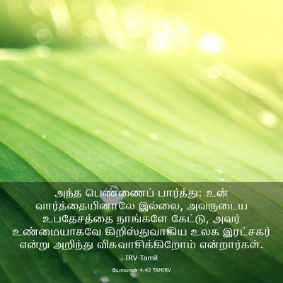 Picture 03 - யோவான் 4:42 TAMIRV - அந்த பெண்ணைப் - Bible Verse Picture