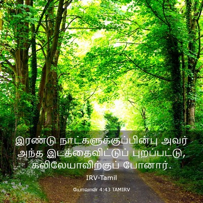 Picture 03 - யோவான் 4:43 TAMIRV - இரண்டு - Bible Verse Picture